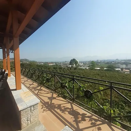 Shehi And Winery Tirana