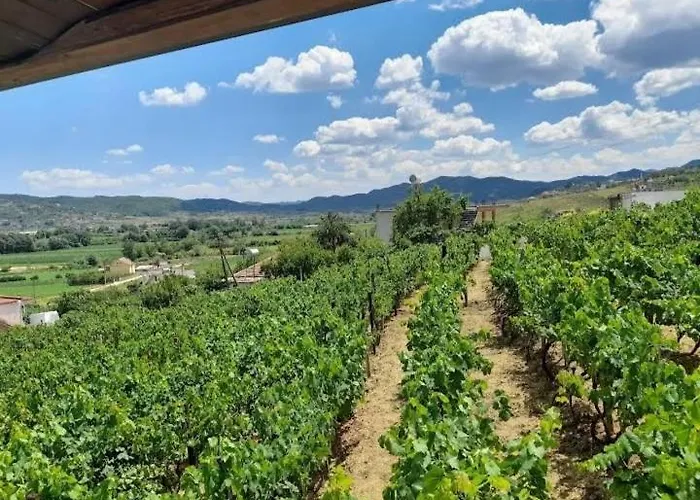 Pensjonat Shehi And Winery *
