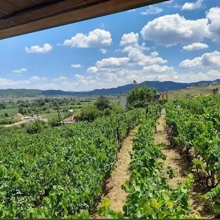 Pensión Shehi And Winery *