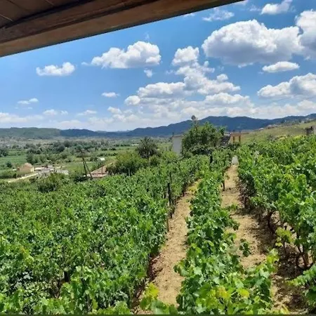 Shehi And Winery Gasthof Mucaj