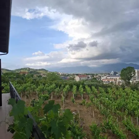 Shehi And Winery Vendégház